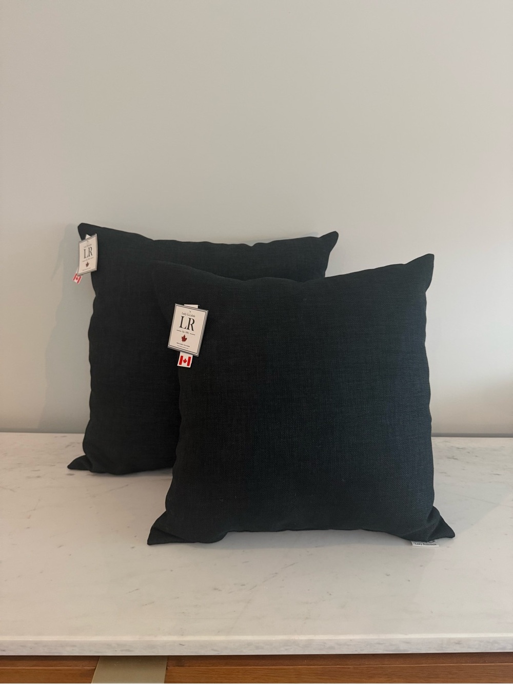 Lady Rosedale Indoor/Outdoor Pillows Set of 2 NWT